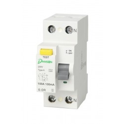 Danson 100A 2-POLE RCD 100mA Time Delay Type A