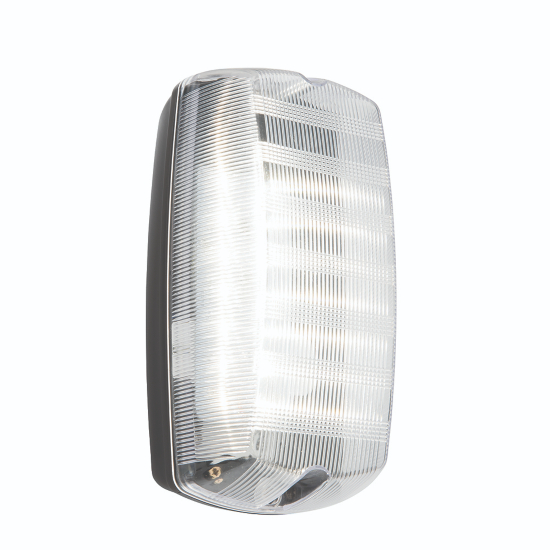 Avit 10W LED Bulkhead IP65