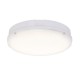 Forca 18W CCT LED Drum Bulkhead IP65